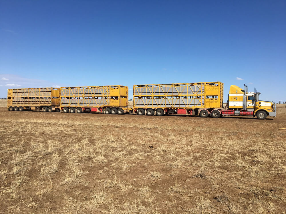 Fleet Martins Stock Haulage The Martin Group